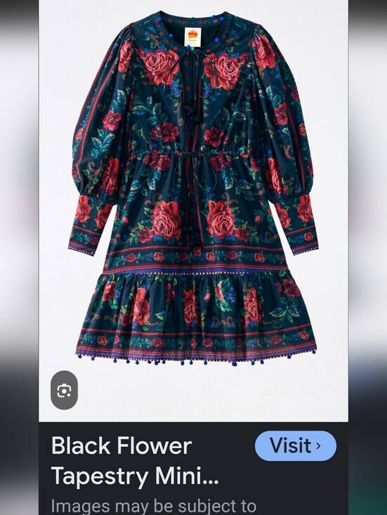 FARM Rio Dresses & Skirts - FARM Rio Black Floral Tapestry Mini Dress with Red Roses